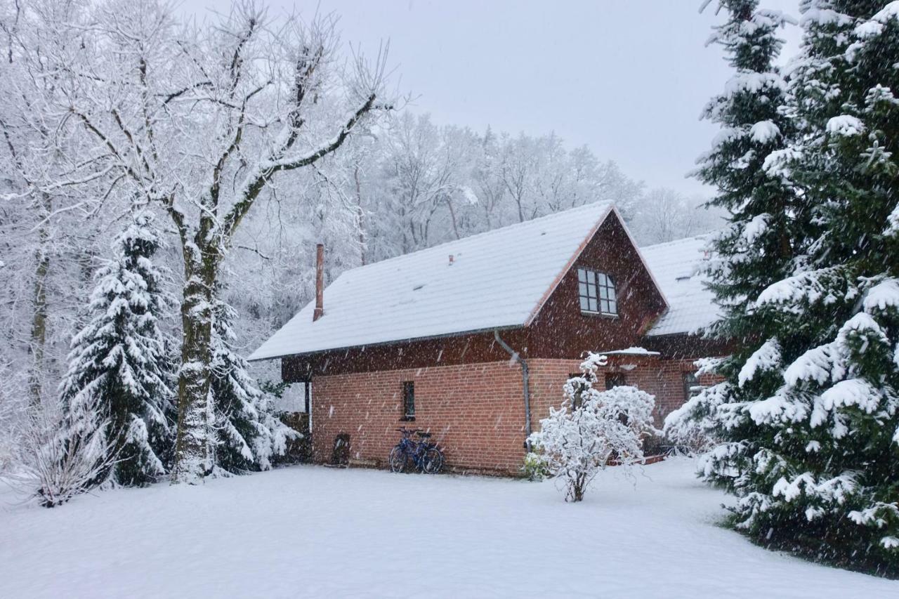 דירות Haus Am Wald Klingberg מראה חיצוני תמונה